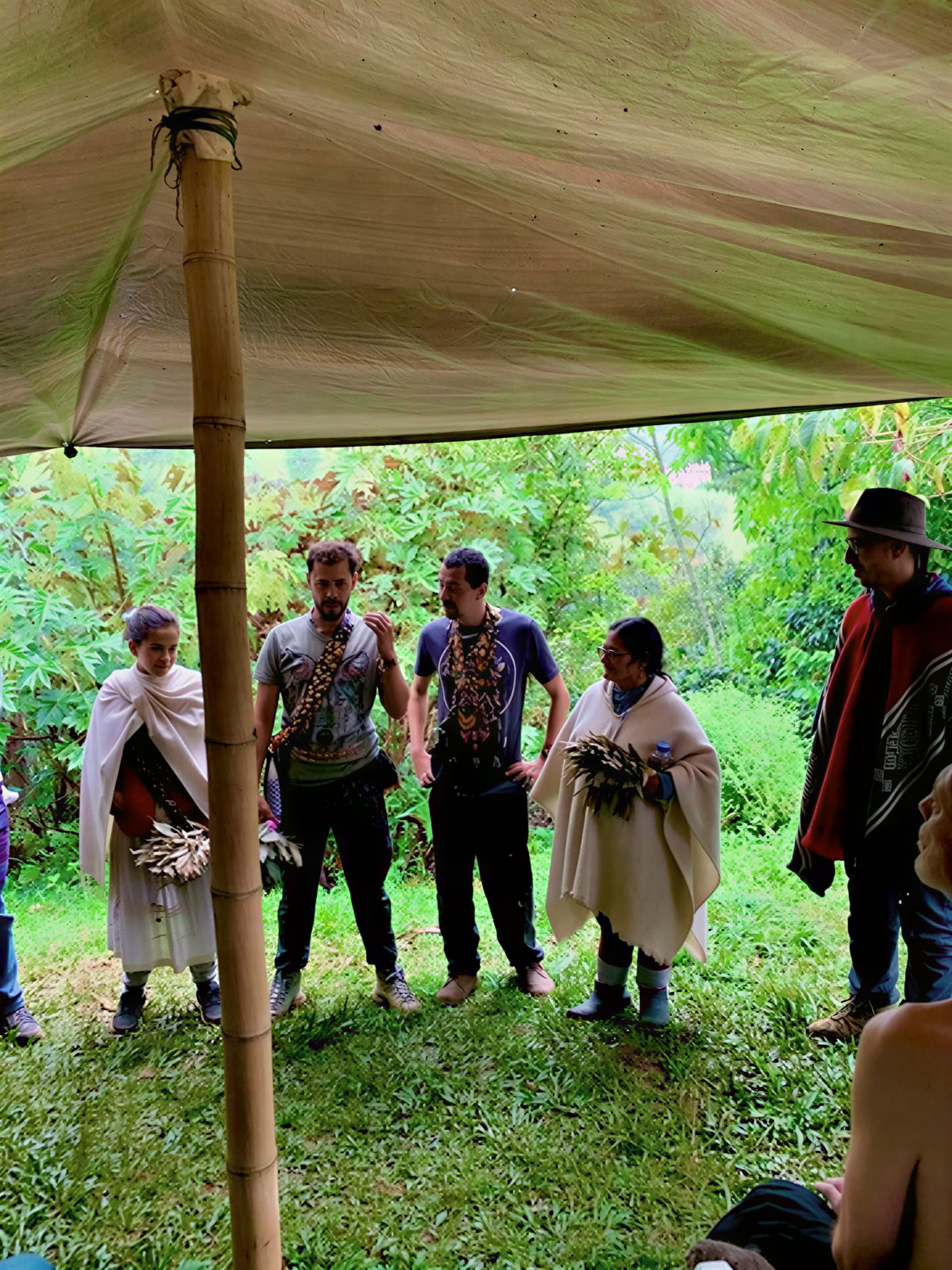 Ayahuasca Ceremony in Medellin