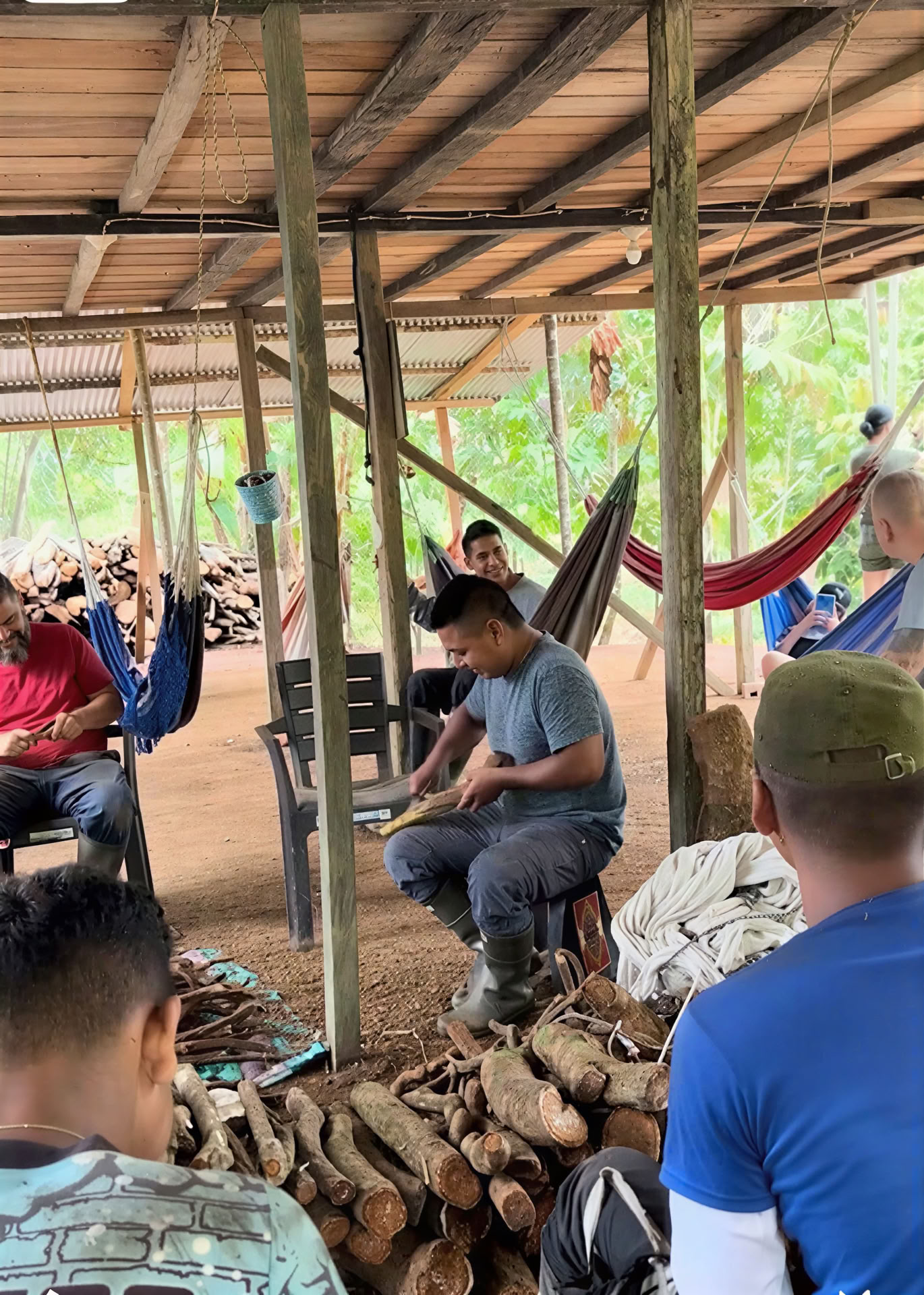 Jungle Trip Ayahuasca