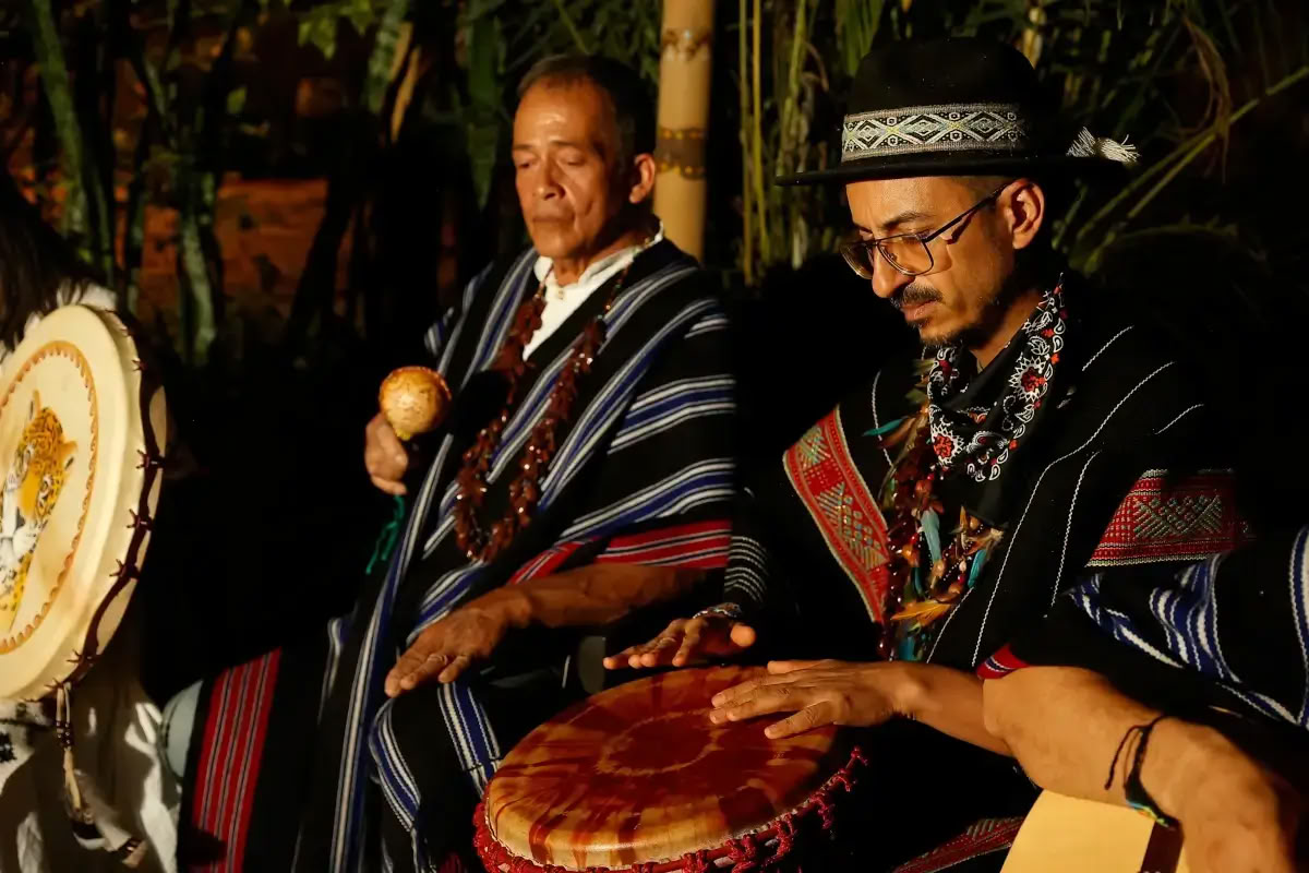 Traditional Ayahuasca Retreat in Austria 3 days