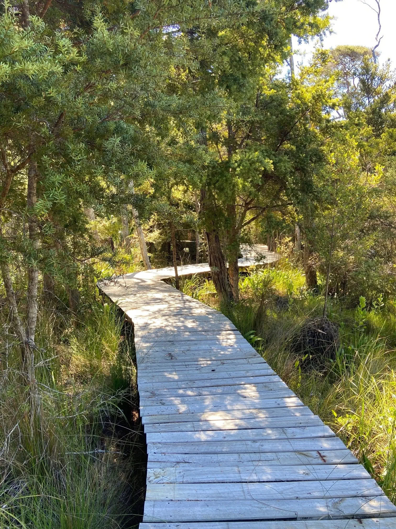 Divine Feminine Leadership Retreat