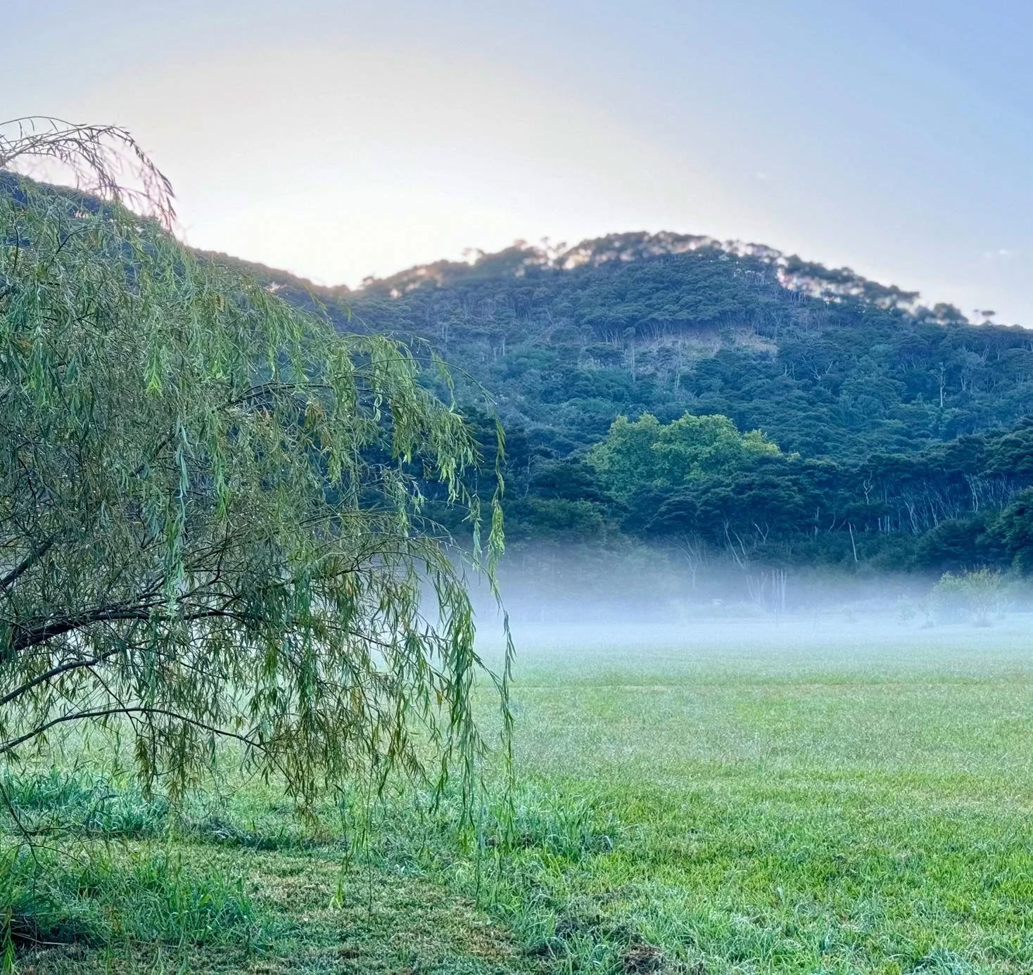 Divine Feminine Leadership Retreat