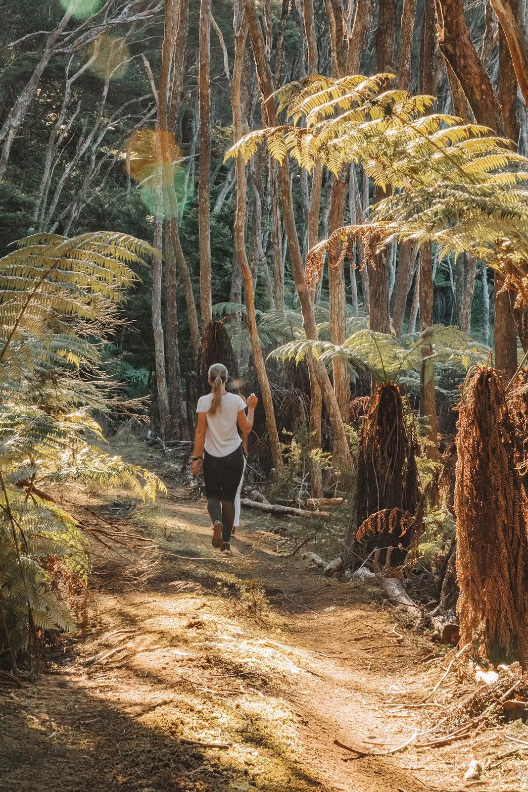Oracle in the Wild Retreat