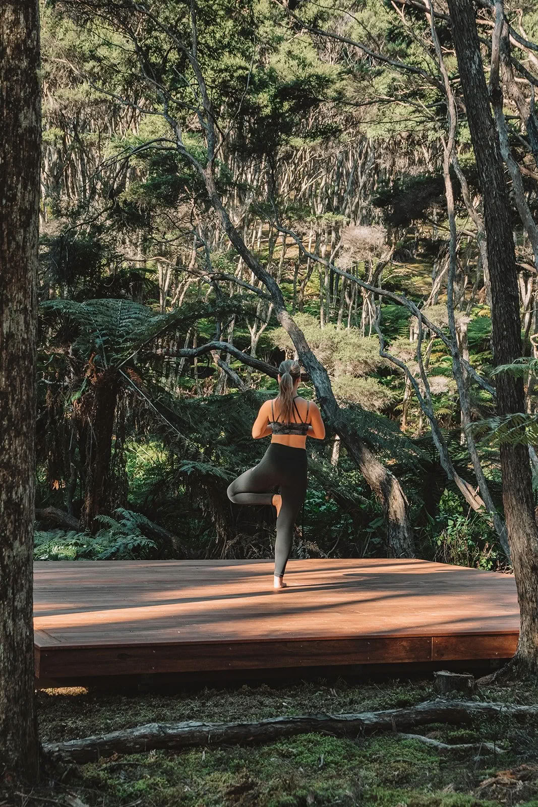 Oracle in the Wild Retreat