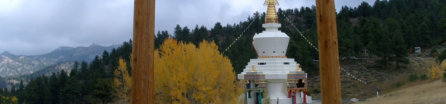 Healing with Nature: A Winter Solstice Retreat