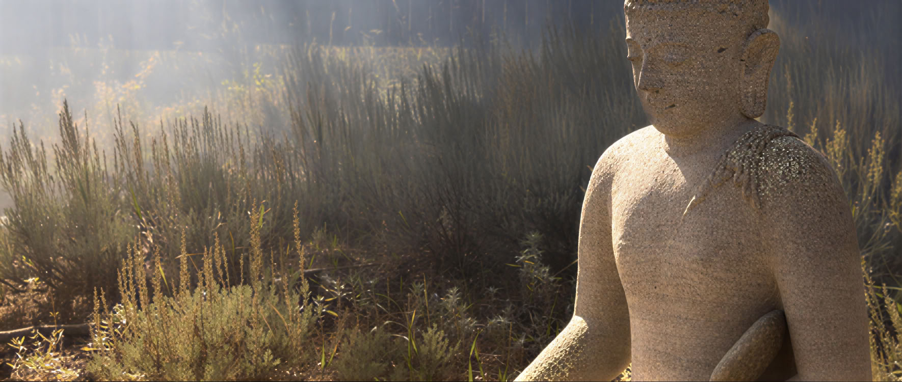Already Whole: Discovering the Freedom Within