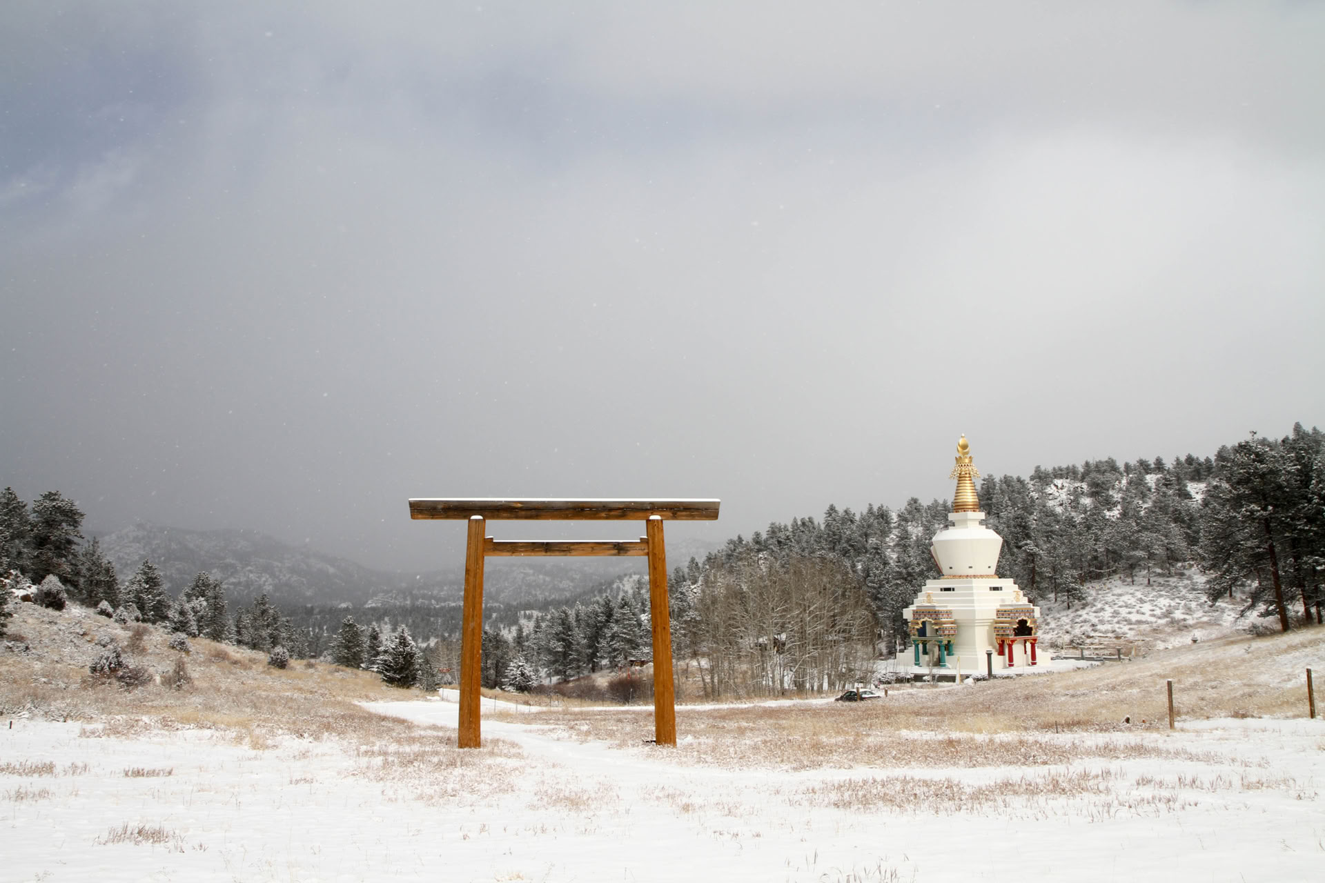 Finding Calm and Insight Through the Breath: A Guided Meditation Retreat