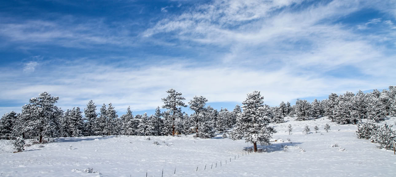 Finding Calm and Insight Through the Breath: A Guided Meditation Retreat