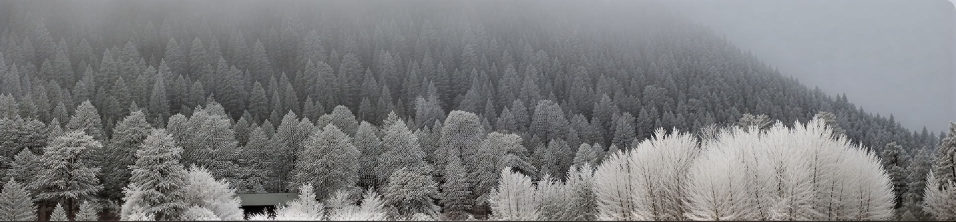 Finding Calm and Insight Through the Breath: A Guided Meditation Retreat