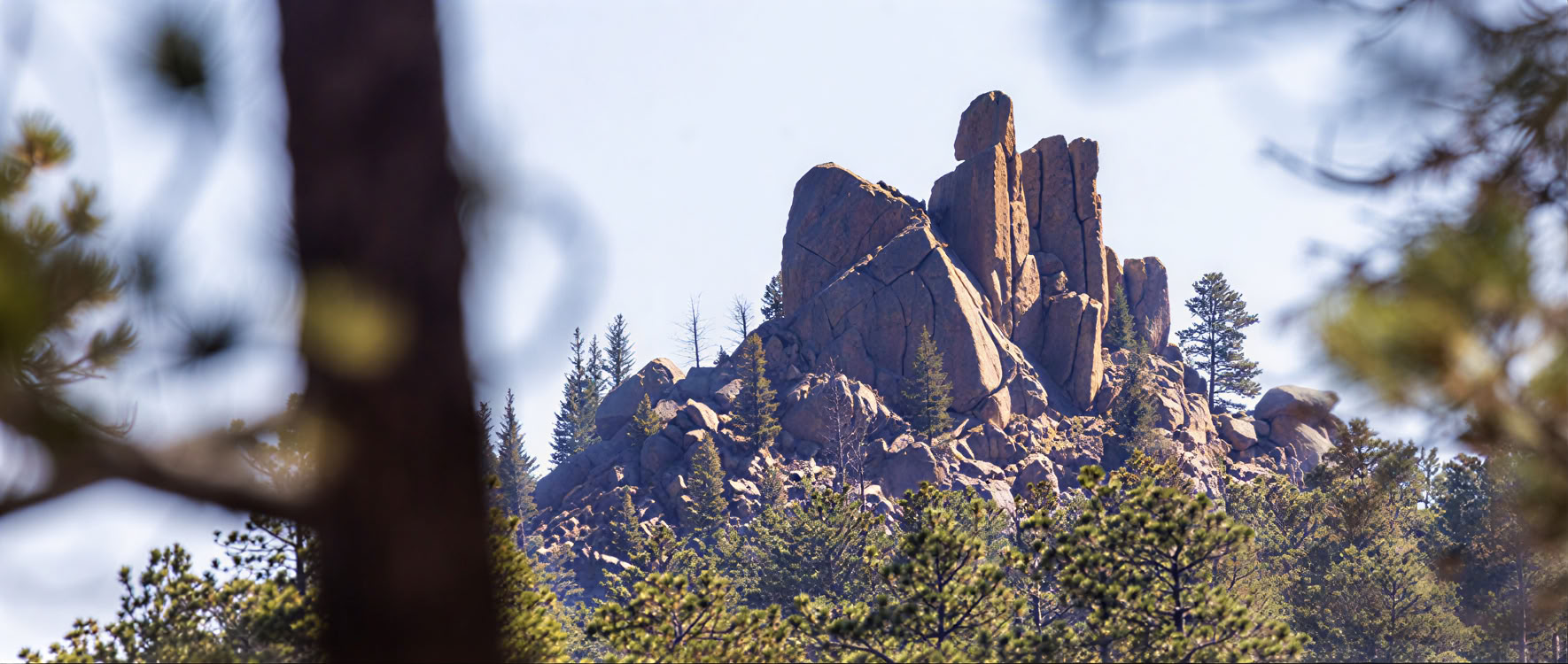 Finding Calm and Insight Through the Breath: A Guided Meditation Retreat