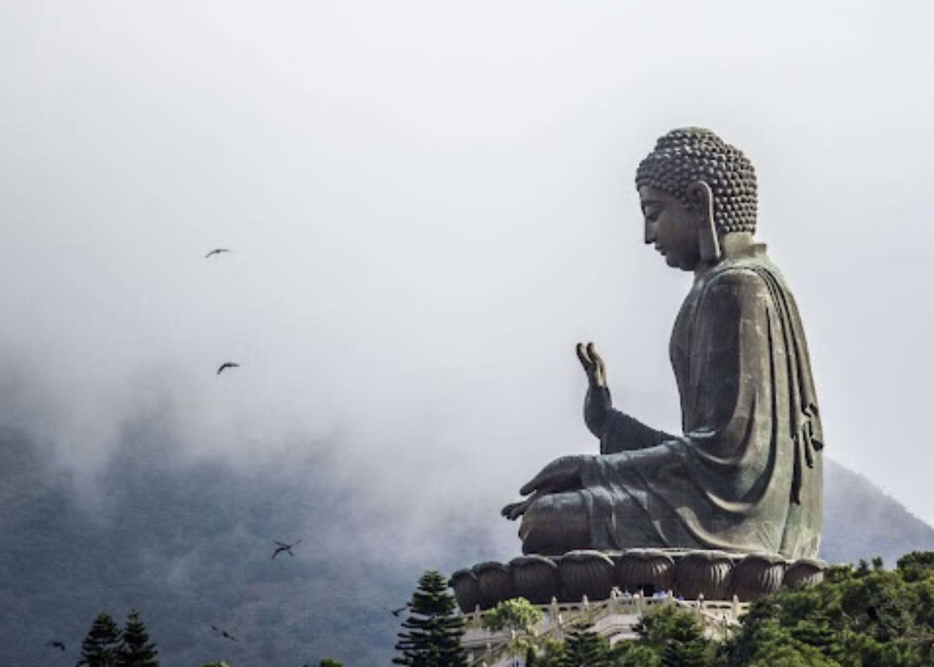 Foundations of Meditation II: Deepening the Path | 2026