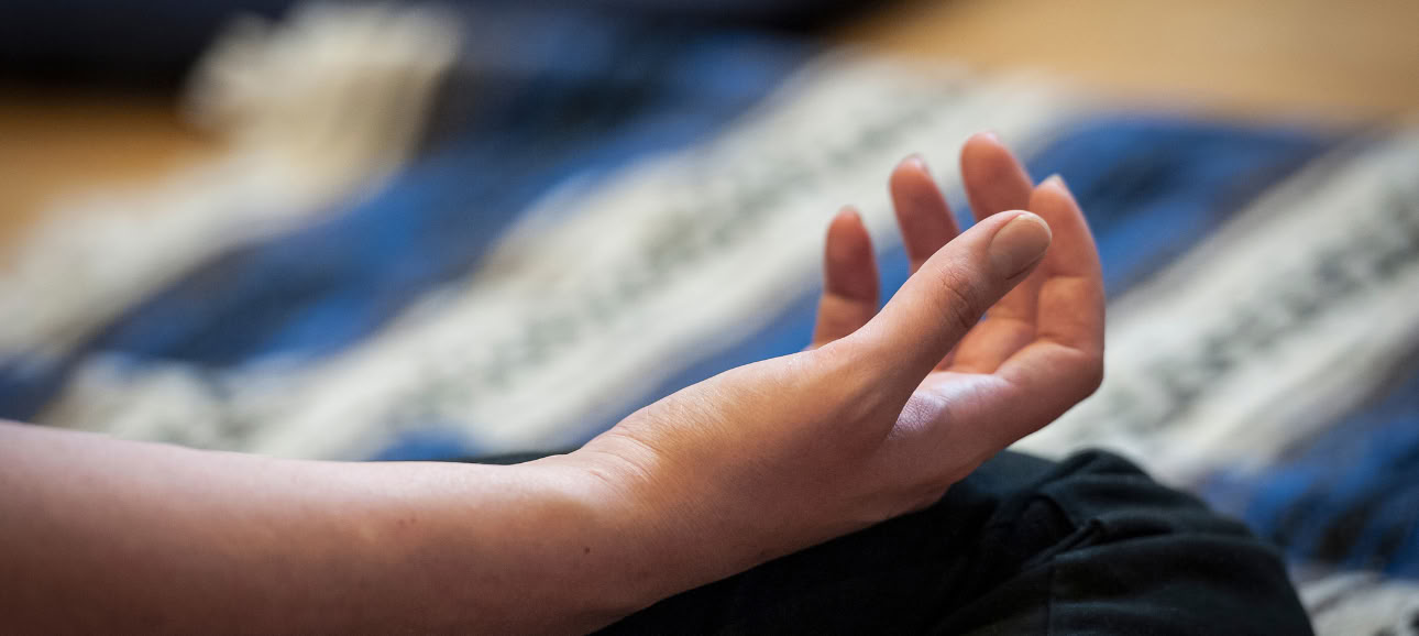 Foundations of Meditation I: Establishing the Ground