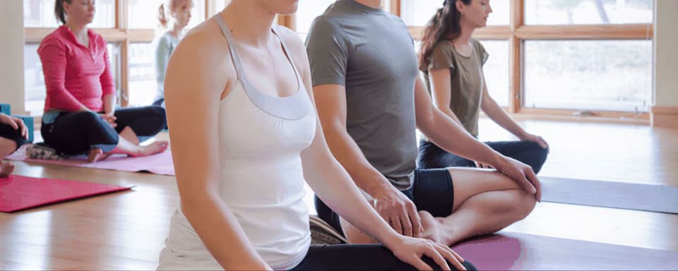 Quiet Mind, Open Heart: The Body as Refuge