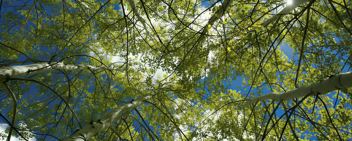 Reframe: Yourself, Others and the World with Philosophical and Spiritual Practice