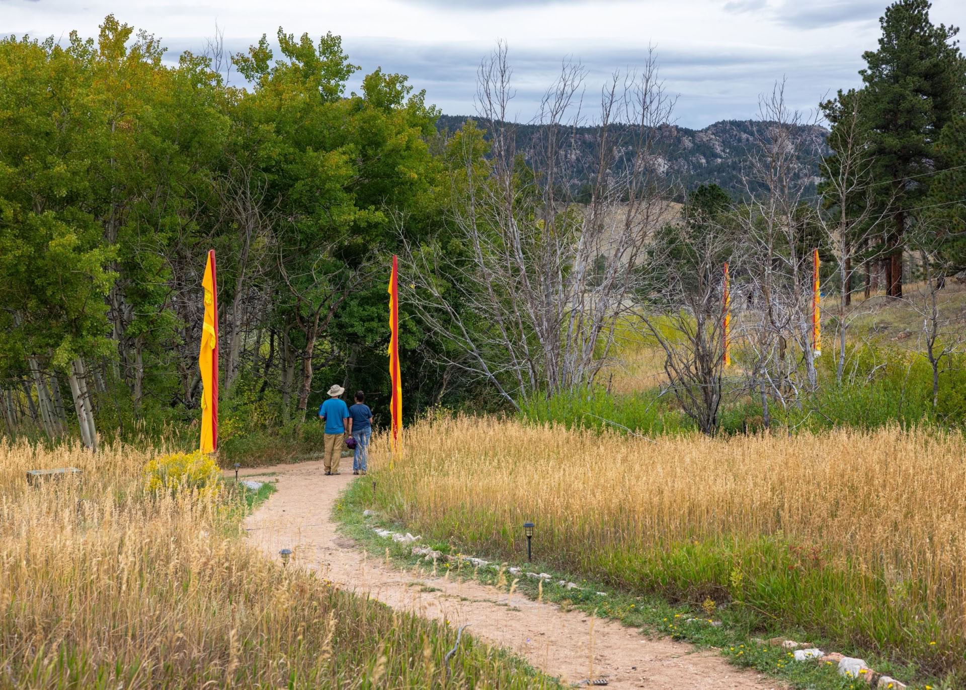 Sitting in Beauty: A 5-day Silent Meditation Retreat