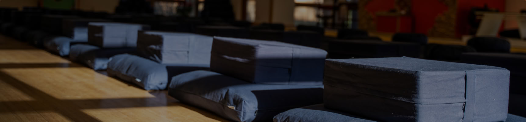 Mindfulness On and Off the Cushion