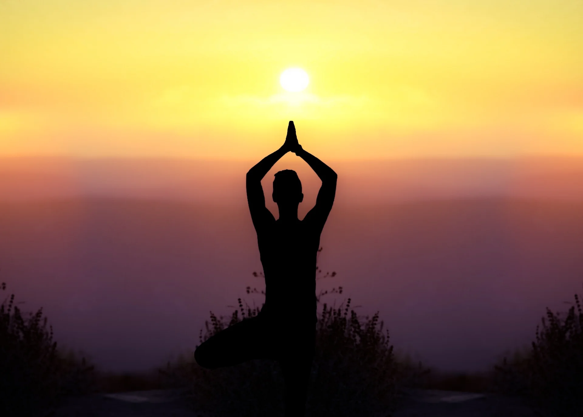Ancient Wisdom for Modern Burnout: Yoga and Ayurvedic Tools for Balance