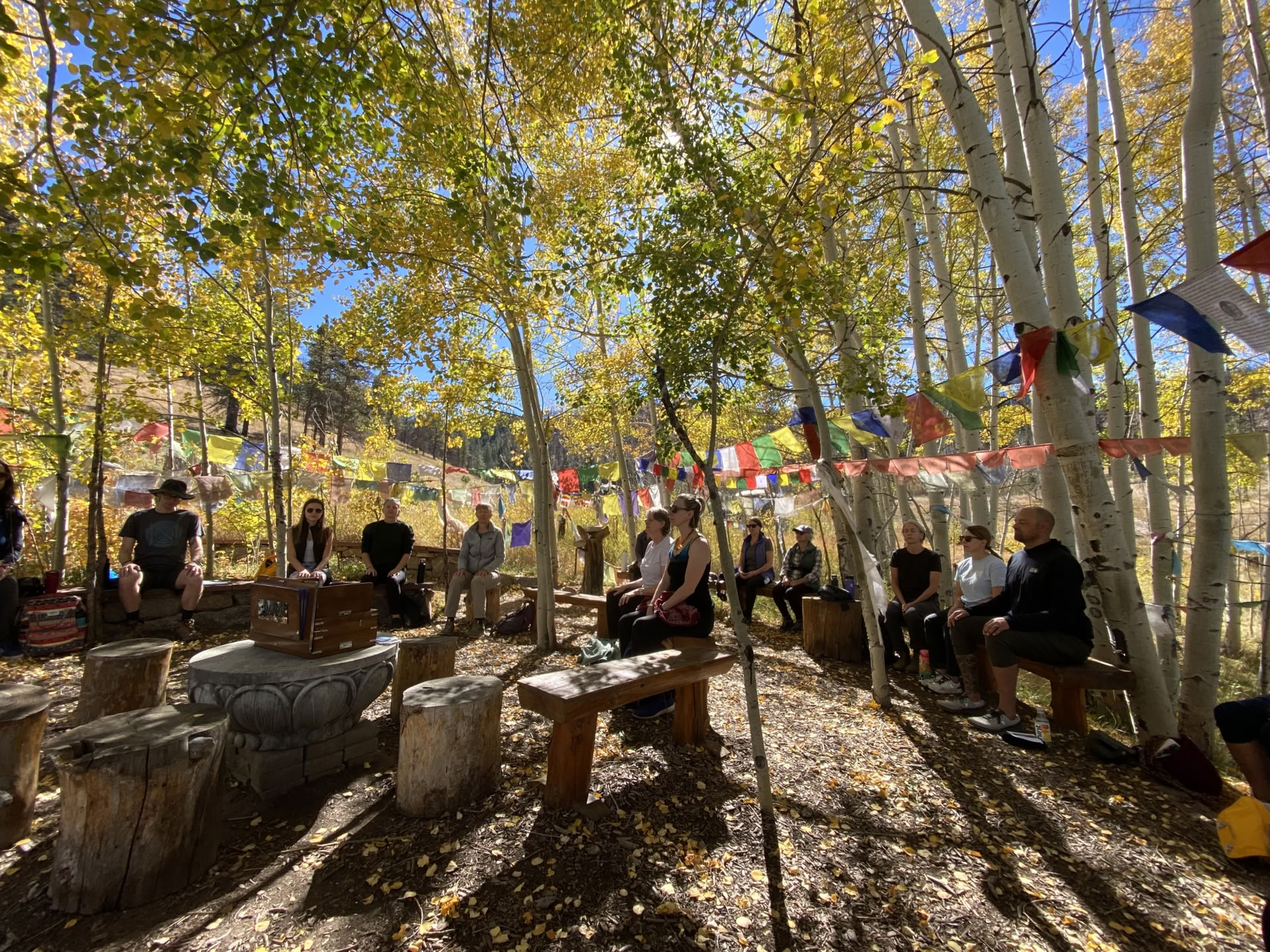 Turning Inward: An Autumn Yoga Retreat