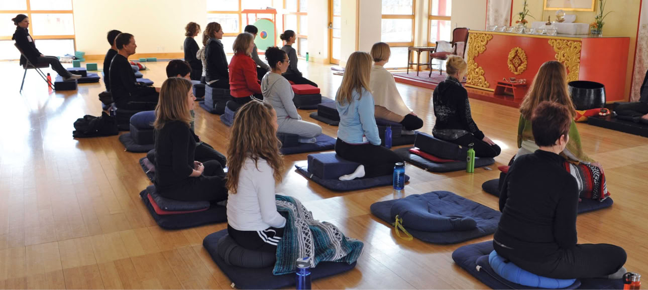Proclaiming Basic Sanity: Living the Bodhisattva Path
