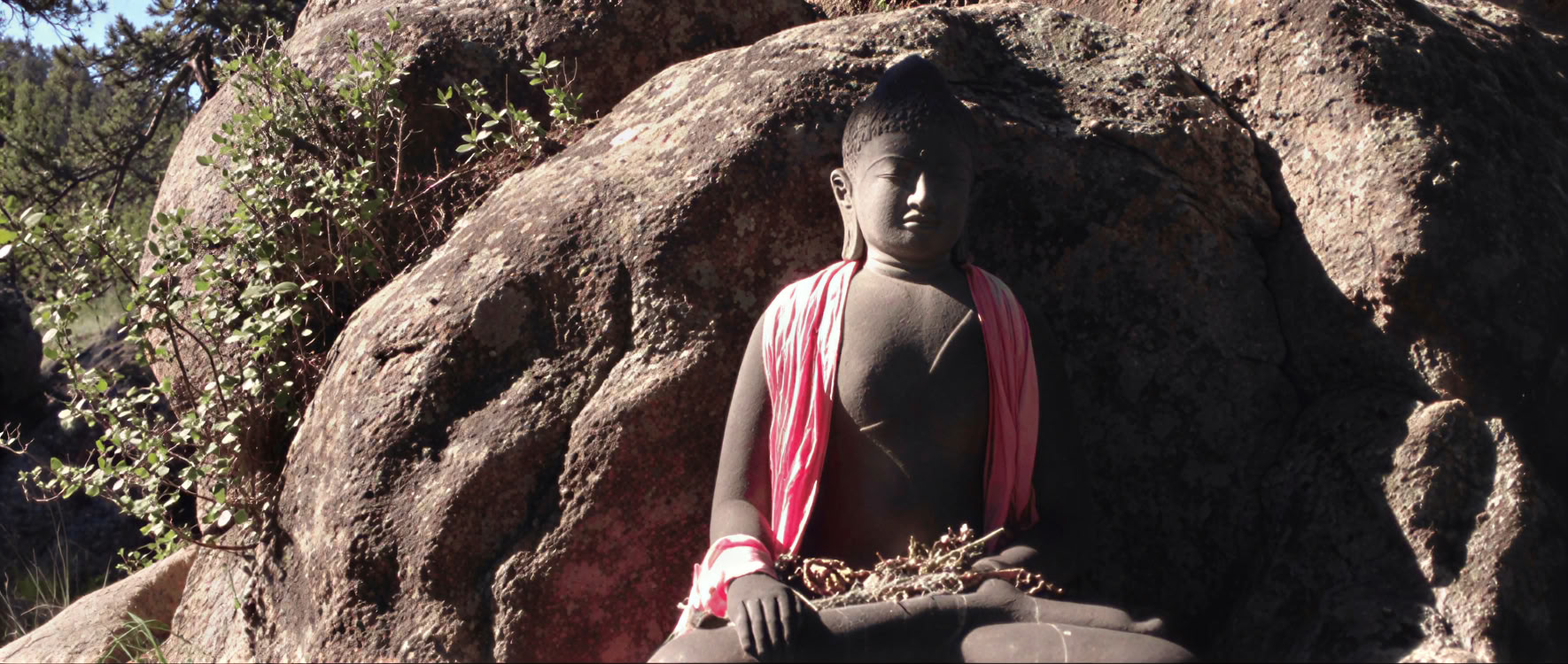 Proclaiming Basic Sanity: Living the Bodhisattva Path