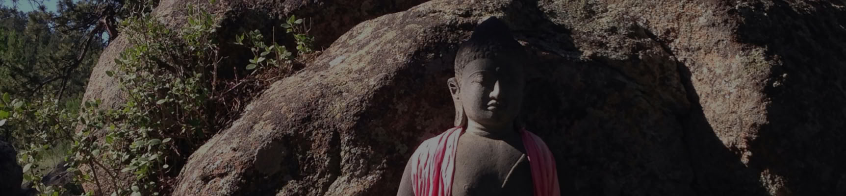 Proclaiming Basic Sanity: Living the Bodhisattva Path