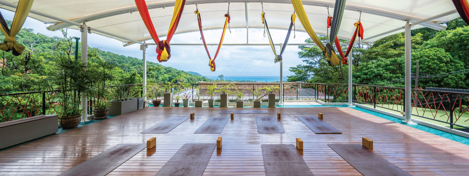 Regular Yoga Classes