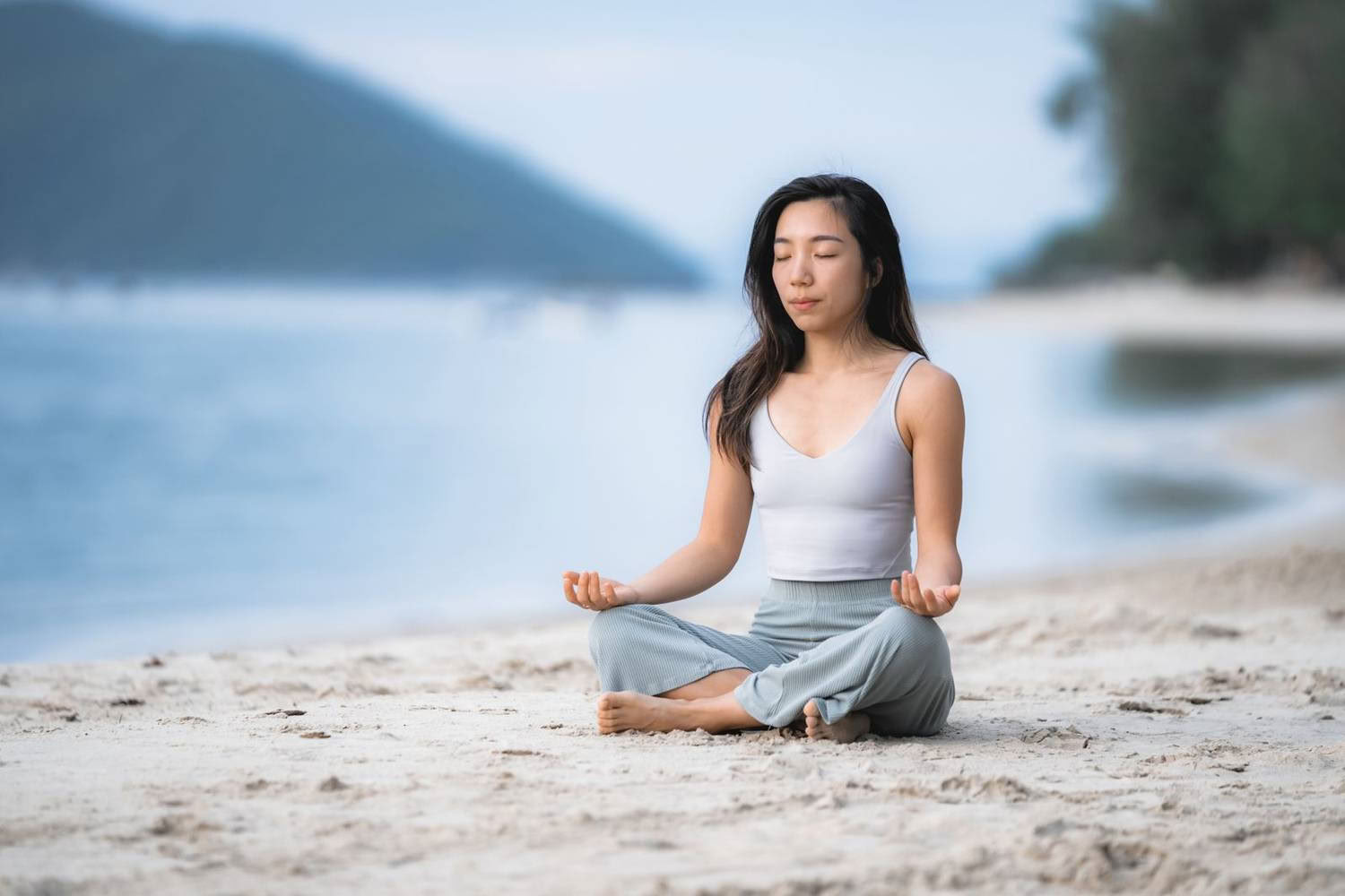 Brain Health Upgrade Program