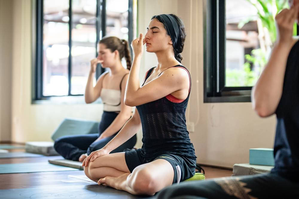 Brain Health Upgrade Program