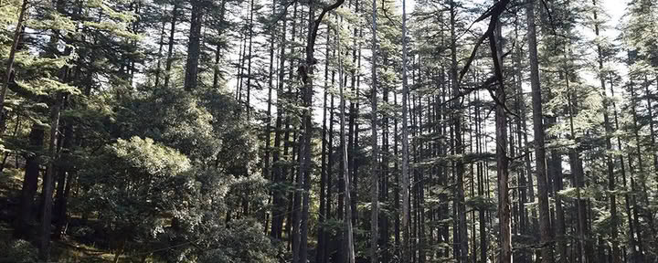 Silent Retreat