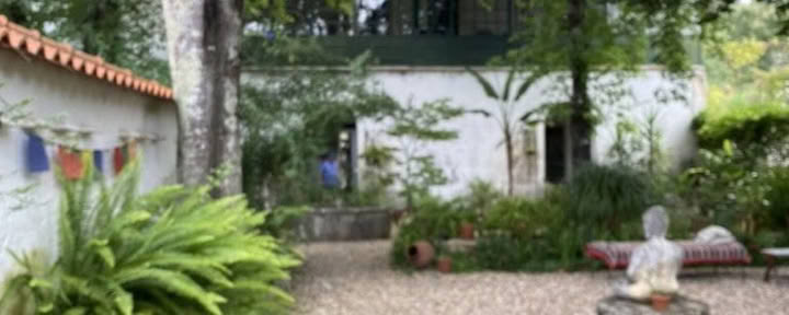 Psilocybin & Wachuma Retreat