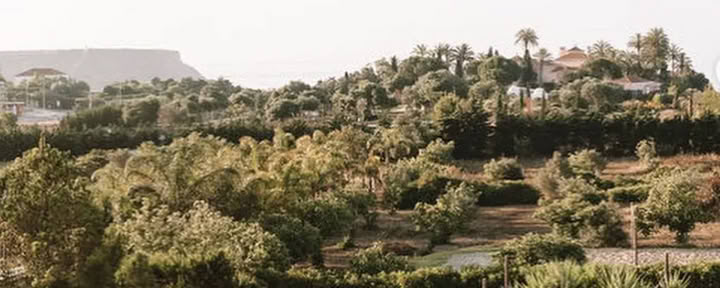 Experience All Aspects of Yoga Retreat