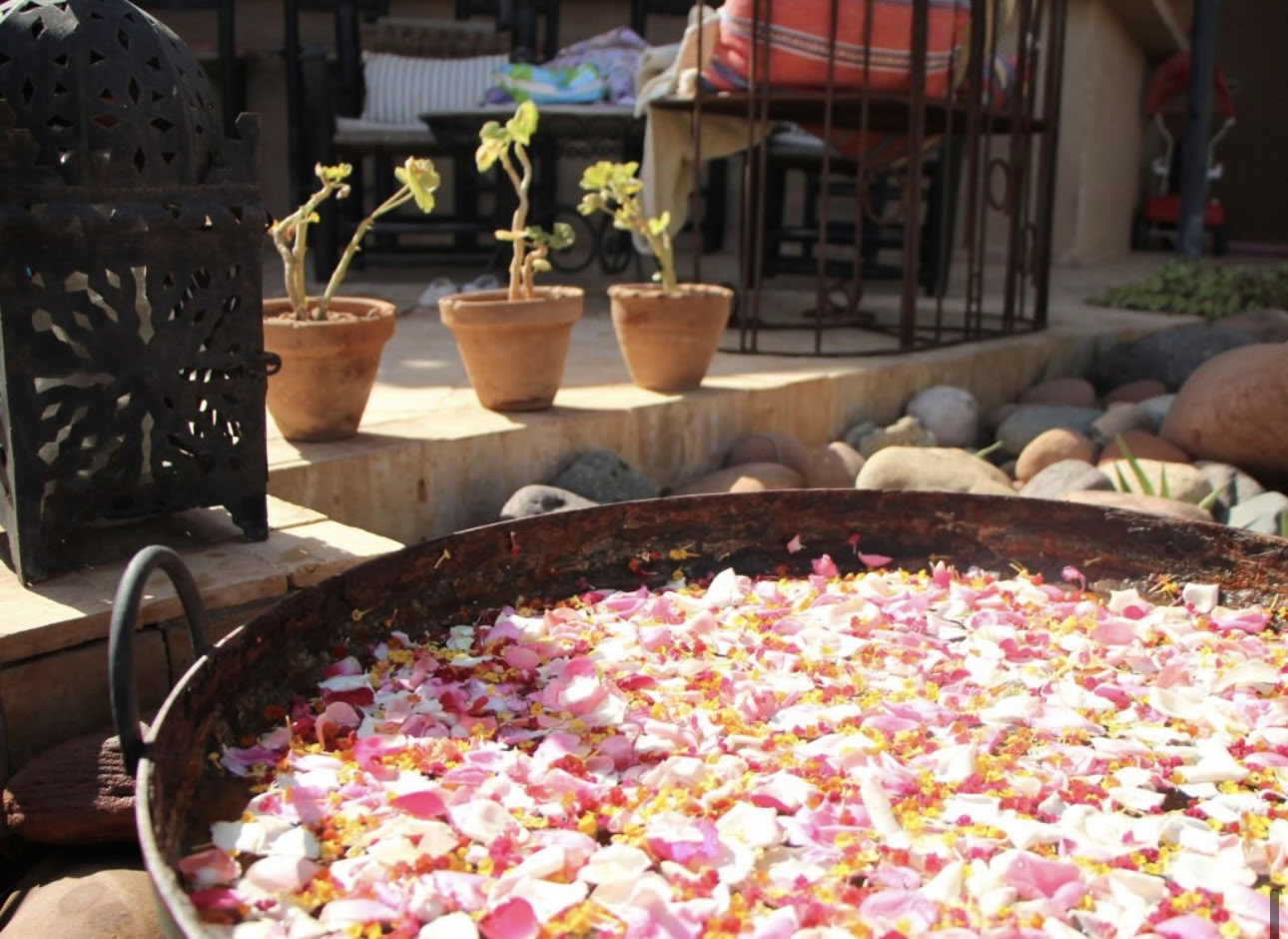Provence - France - 6 Day Yoga & Inferno Hot Pilates Retreat