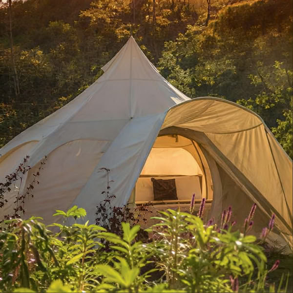 Intimate Ayahuasca Retreat | Kinkara, Costa Rica | July 11 - 17, 2026