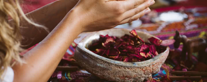 Intimate Ayahuasca Retreat