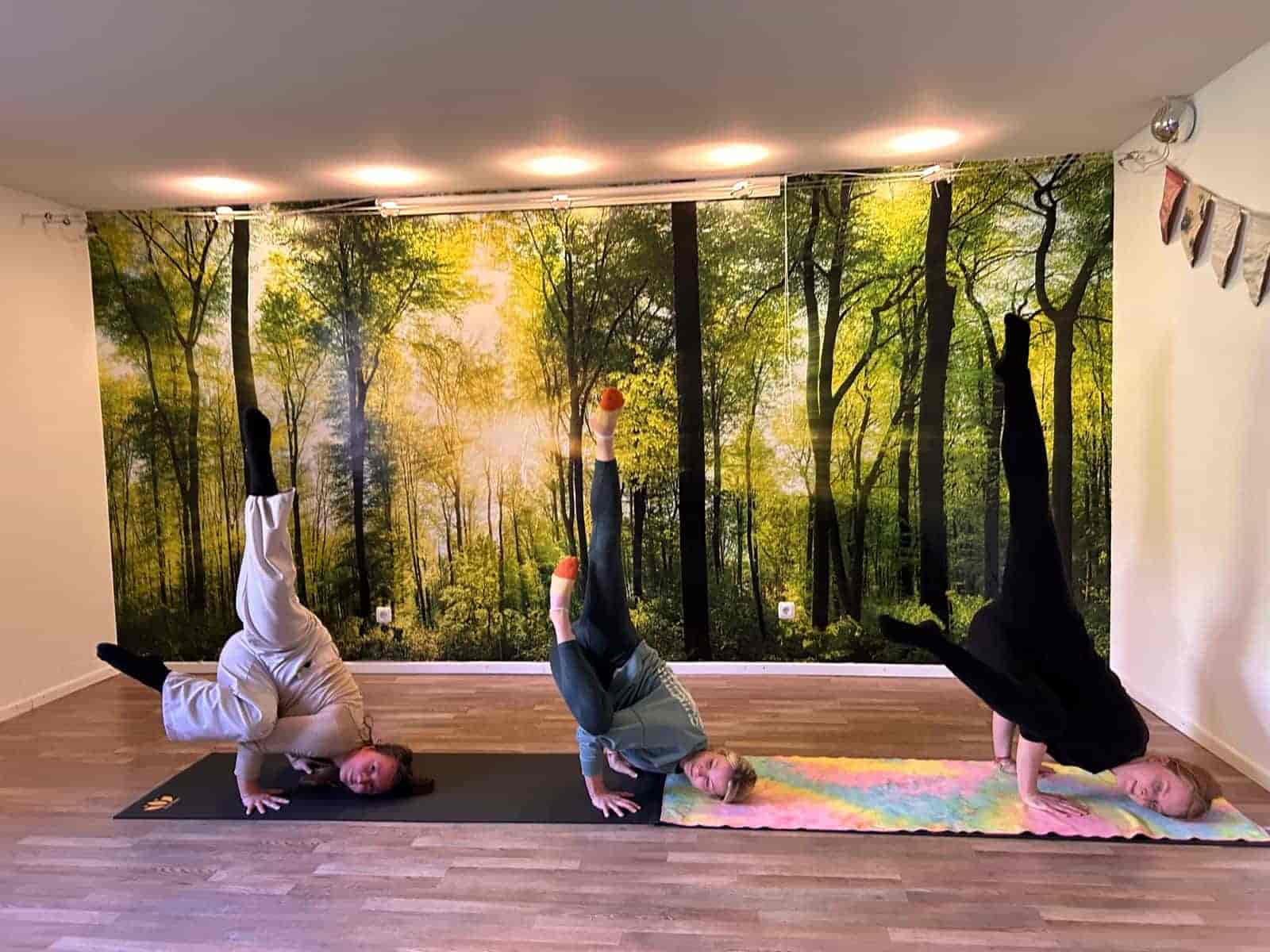 100 hours Arm Balancing Training Germany