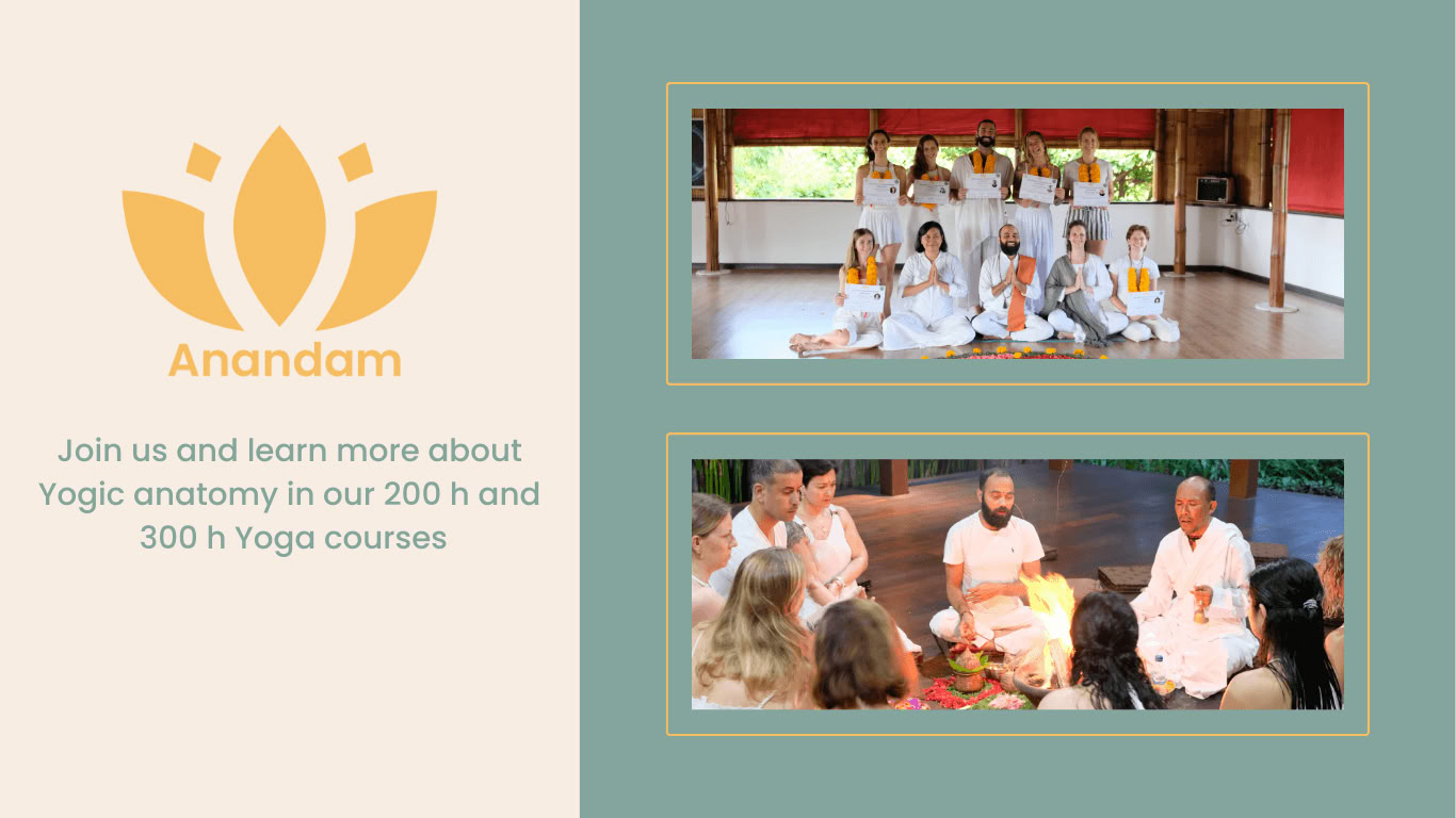 50 hours Pranayama Training Germany