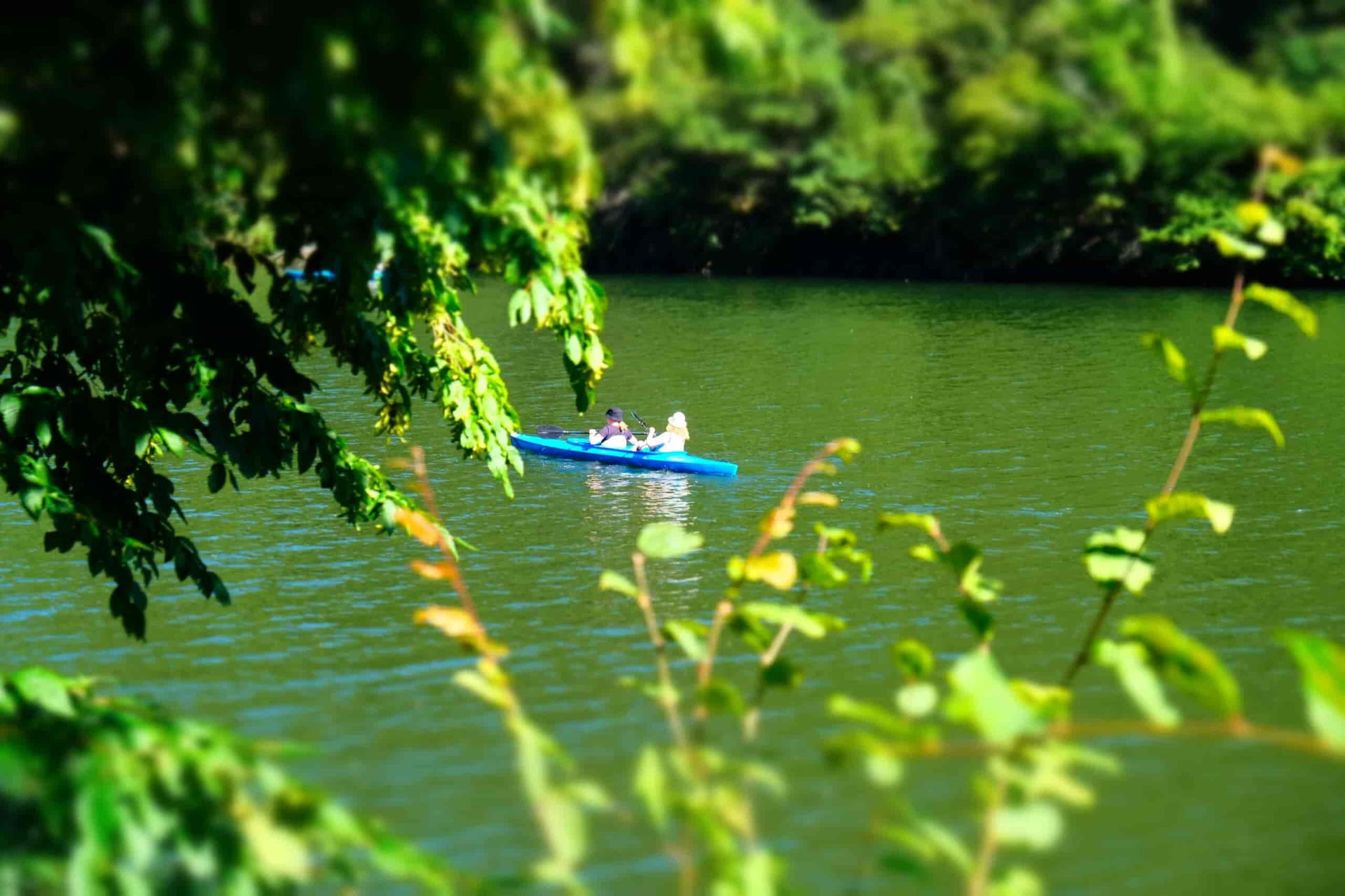 200 Hour Yoga Teacher Training Germany
