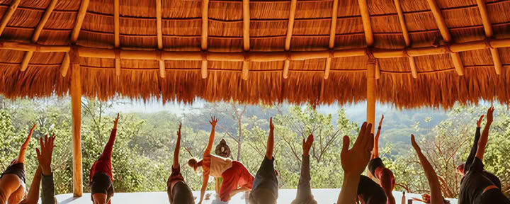 Rewriting Power: Claiming Your Quiet Authority A 7-Day Retreat for Midlife Women in Freelance Medical Writing and CME