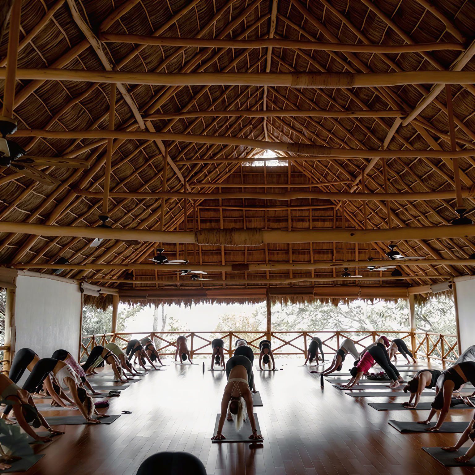 Màs Rocket y Hot Yoga