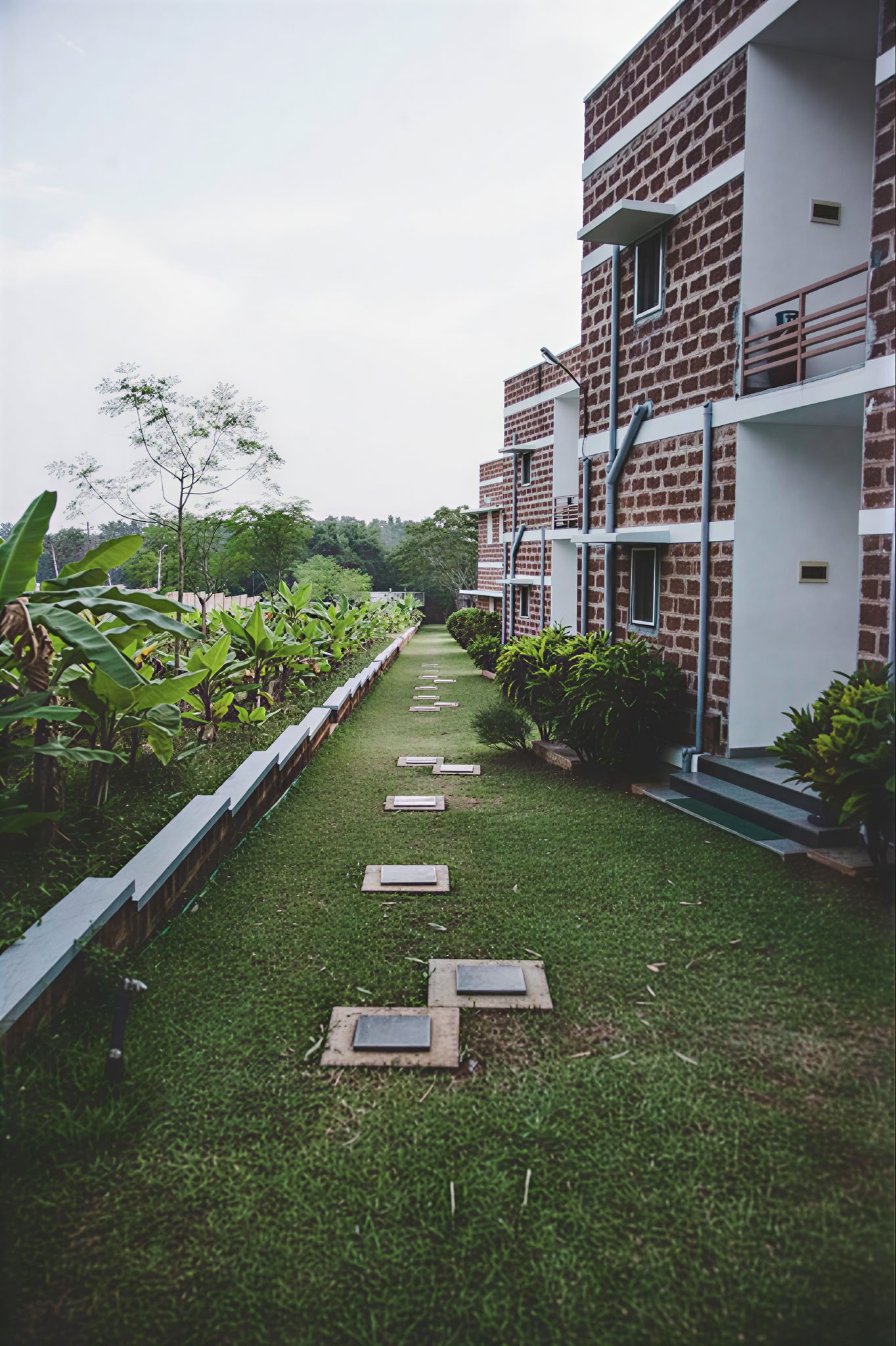 Patanjali Sutra course: The new era of yoga – yoga as it is – begins