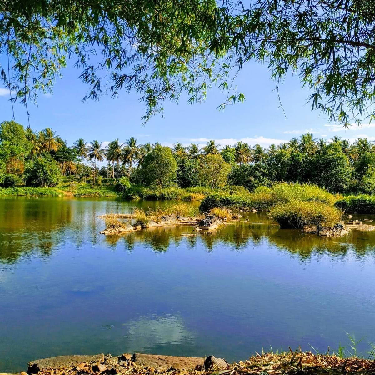 Pancha Kosha Meditation & Detoxification Retreat