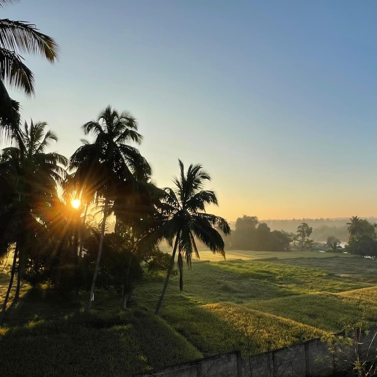 Brahma Mouna SILENCE & WELLNESS reatreat