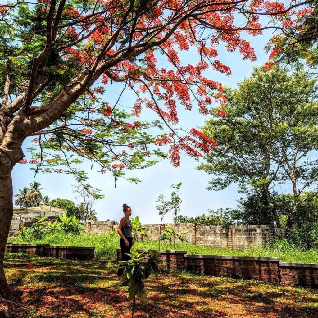 Patanjali Yoga Sutra Course