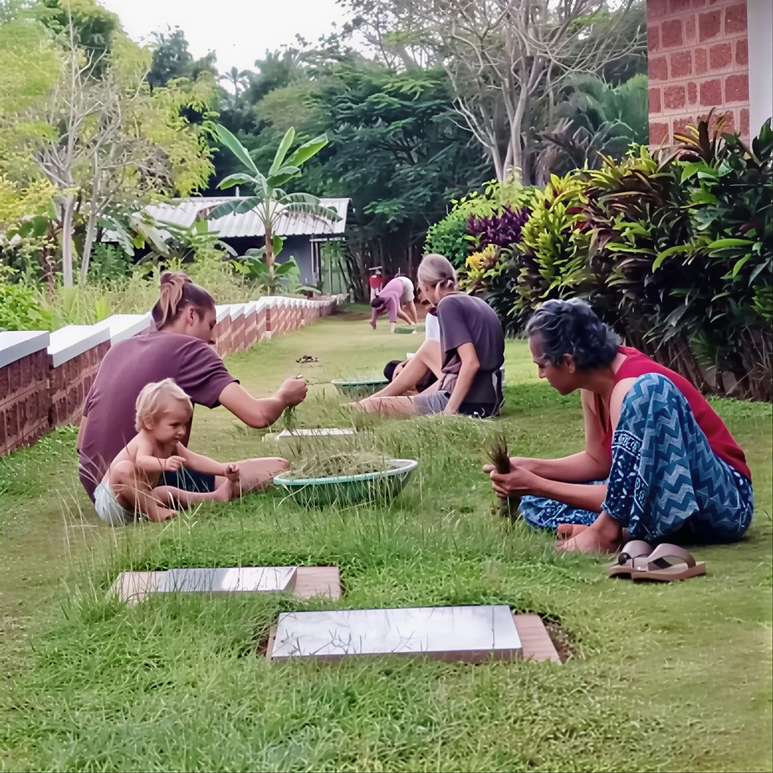 Patanjali Yoga Sutra Course