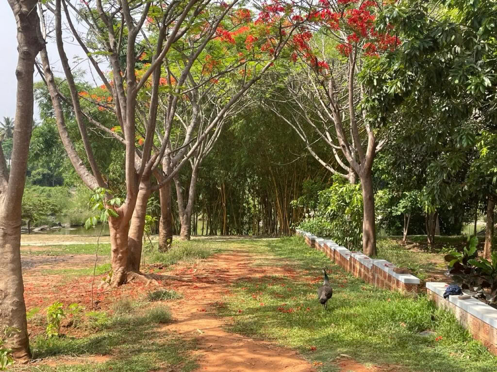Patanjali Yoga Sutra Course
