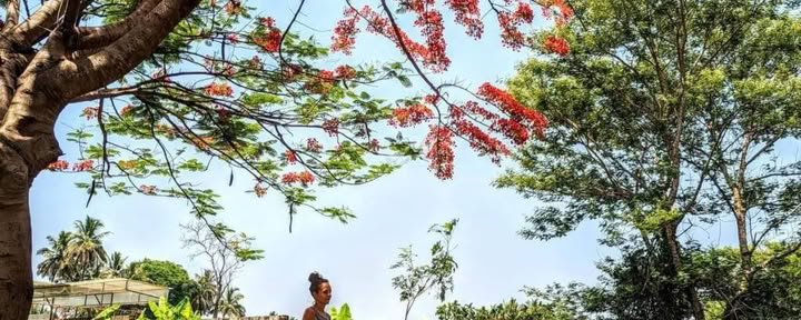 Patanjali Yoga Sutra Course