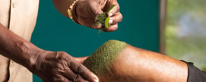 Wellness Retreat for Seniors in Rishikesh, India