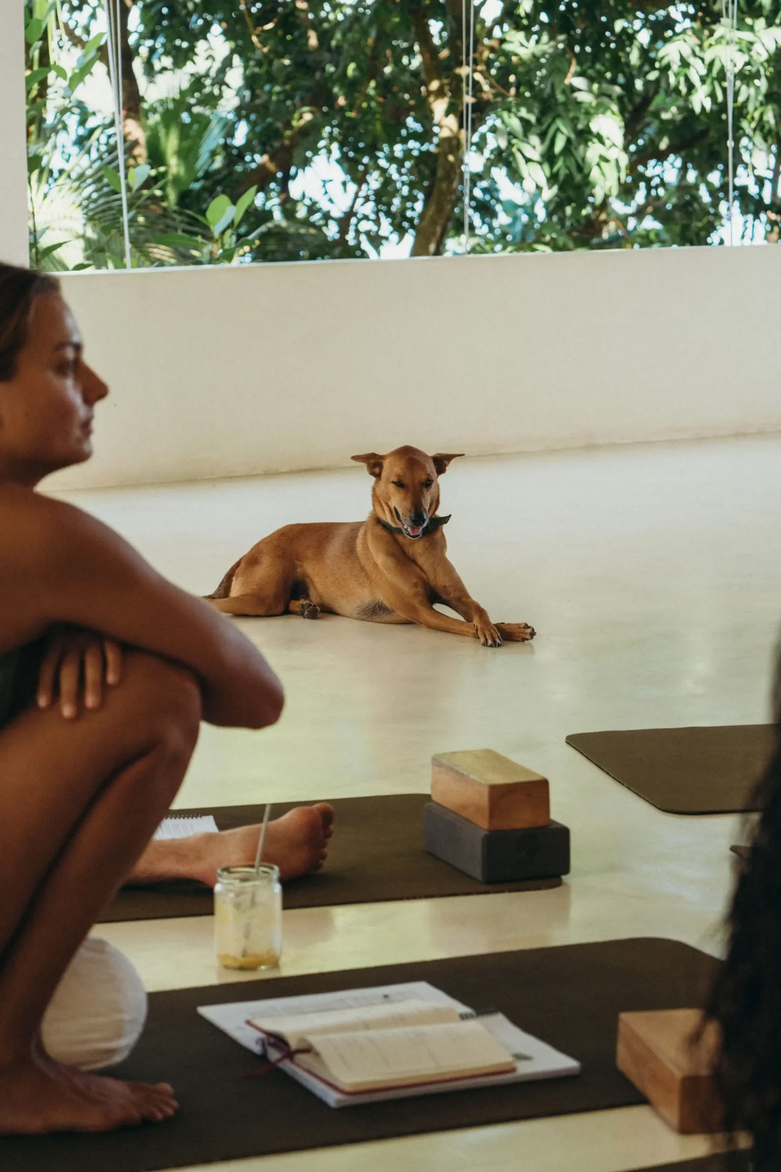 Synergy Vinyasa Yoga Retreat at Lanka Yoga