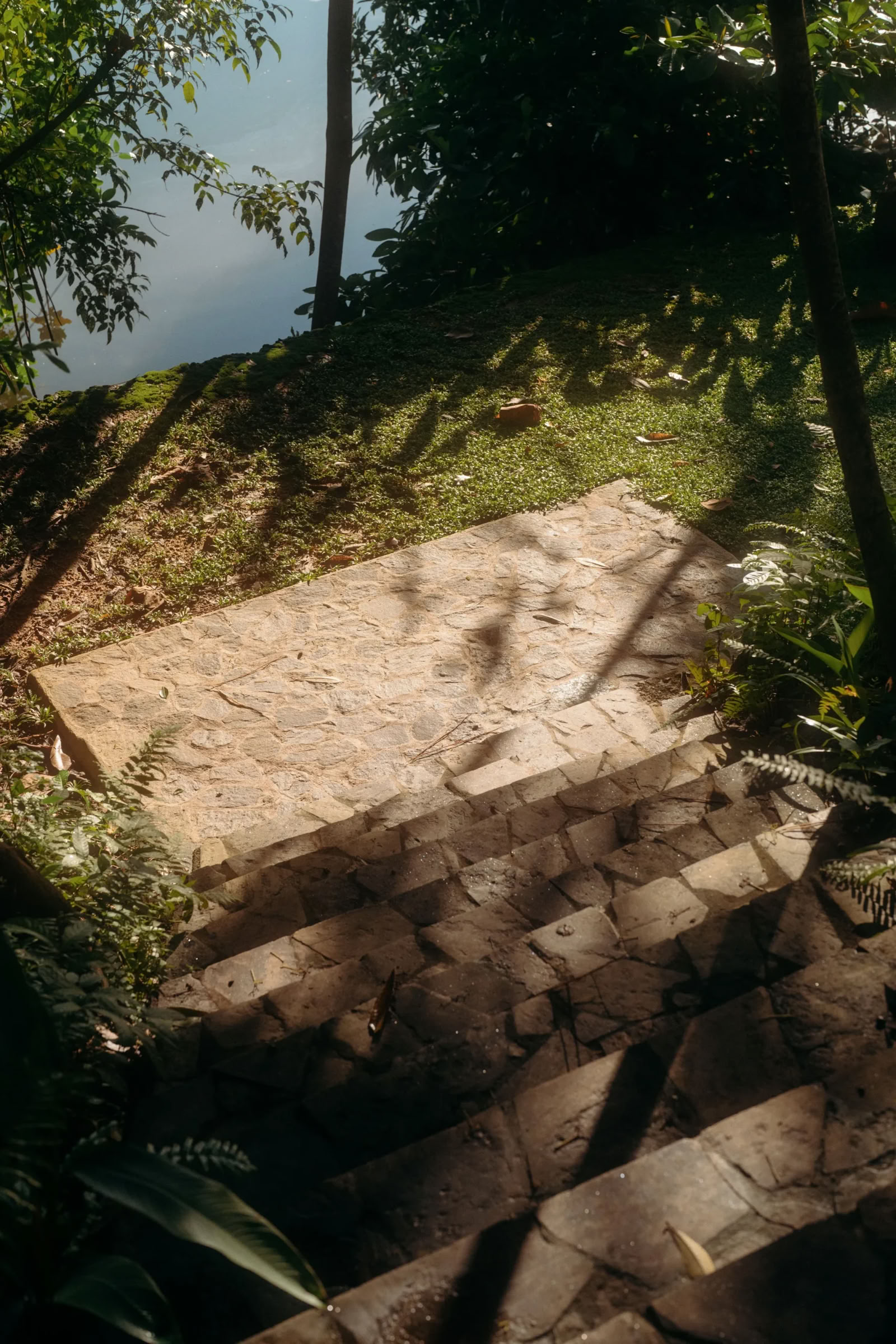 Sri Lanka Yoga Retreat with Aaron Petty