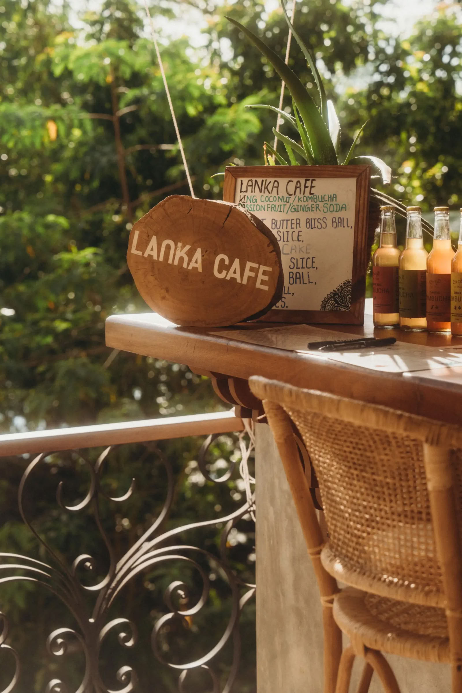 Sri Lanka Yoga Retreat with Aaron Petty