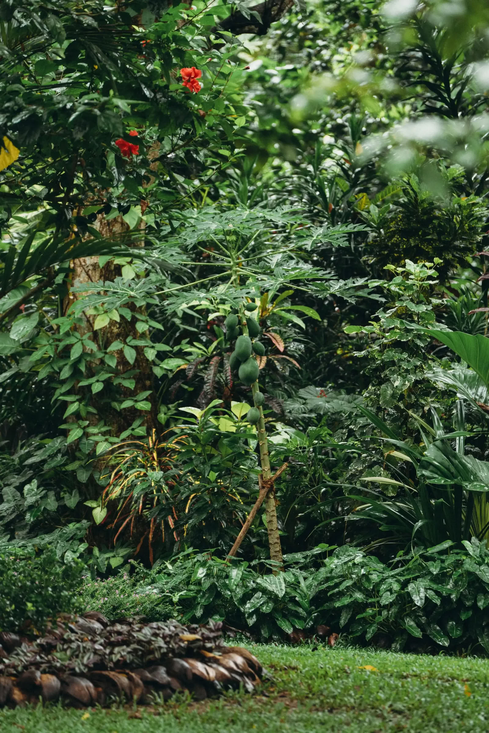 Reset Yoga Retreat Sri Lanka